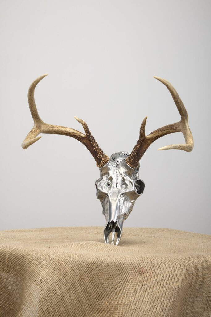 Metal deer skull with full antlers