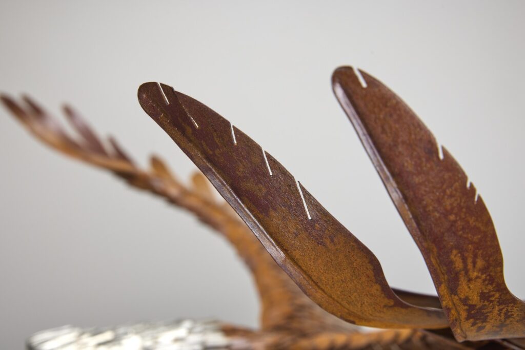 Eagle wingtip primary feathers