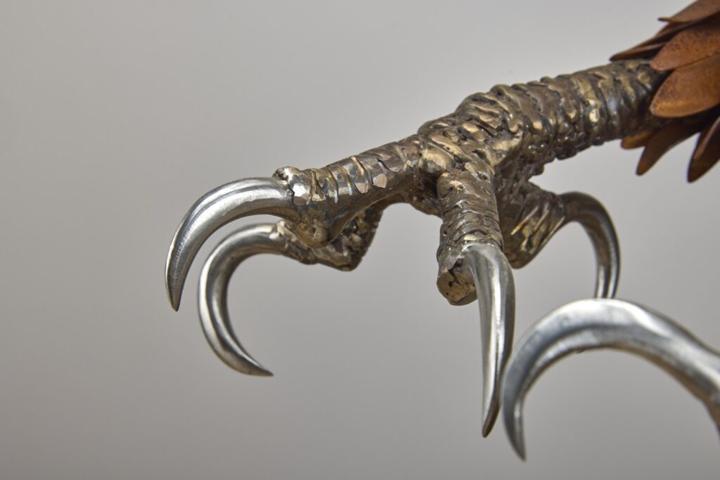 Close-up of polished steel eagle talons